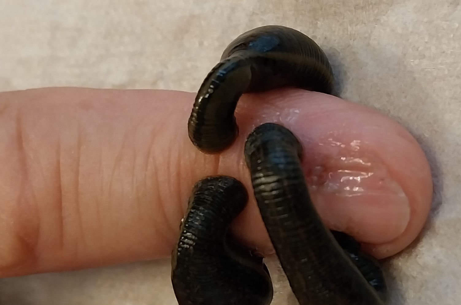 Vertiefung und praktische Übungen